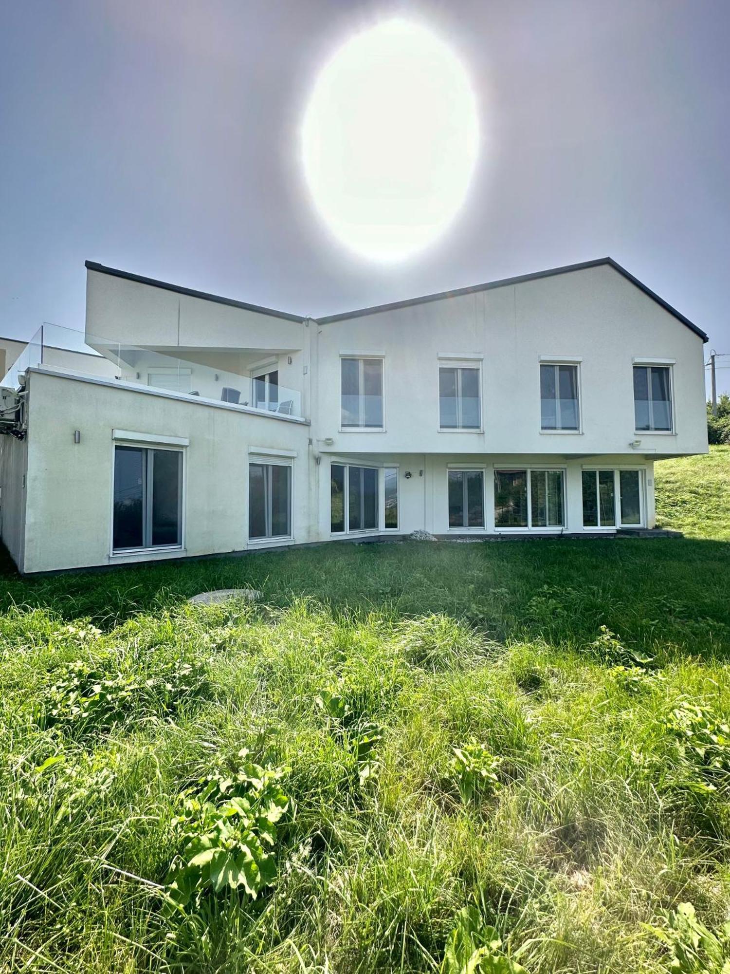 Modern In Paradise * Sarajevo